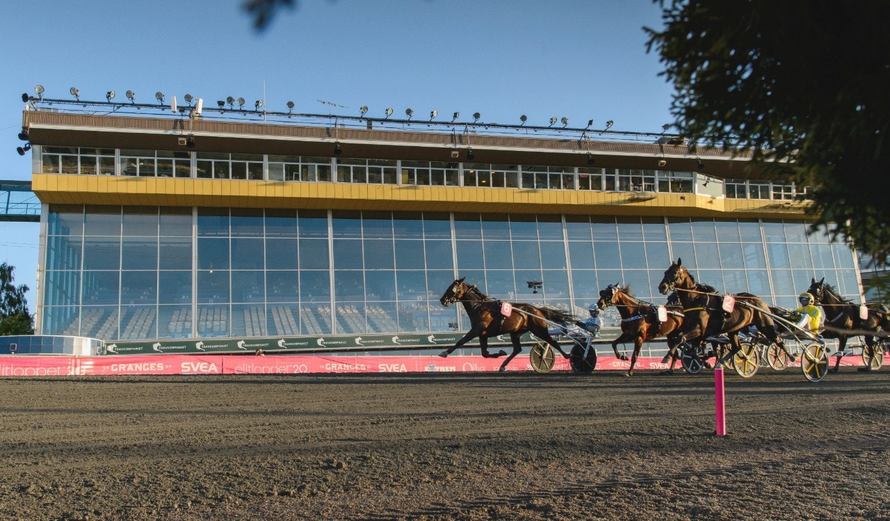 Publiken på väg tillbaka