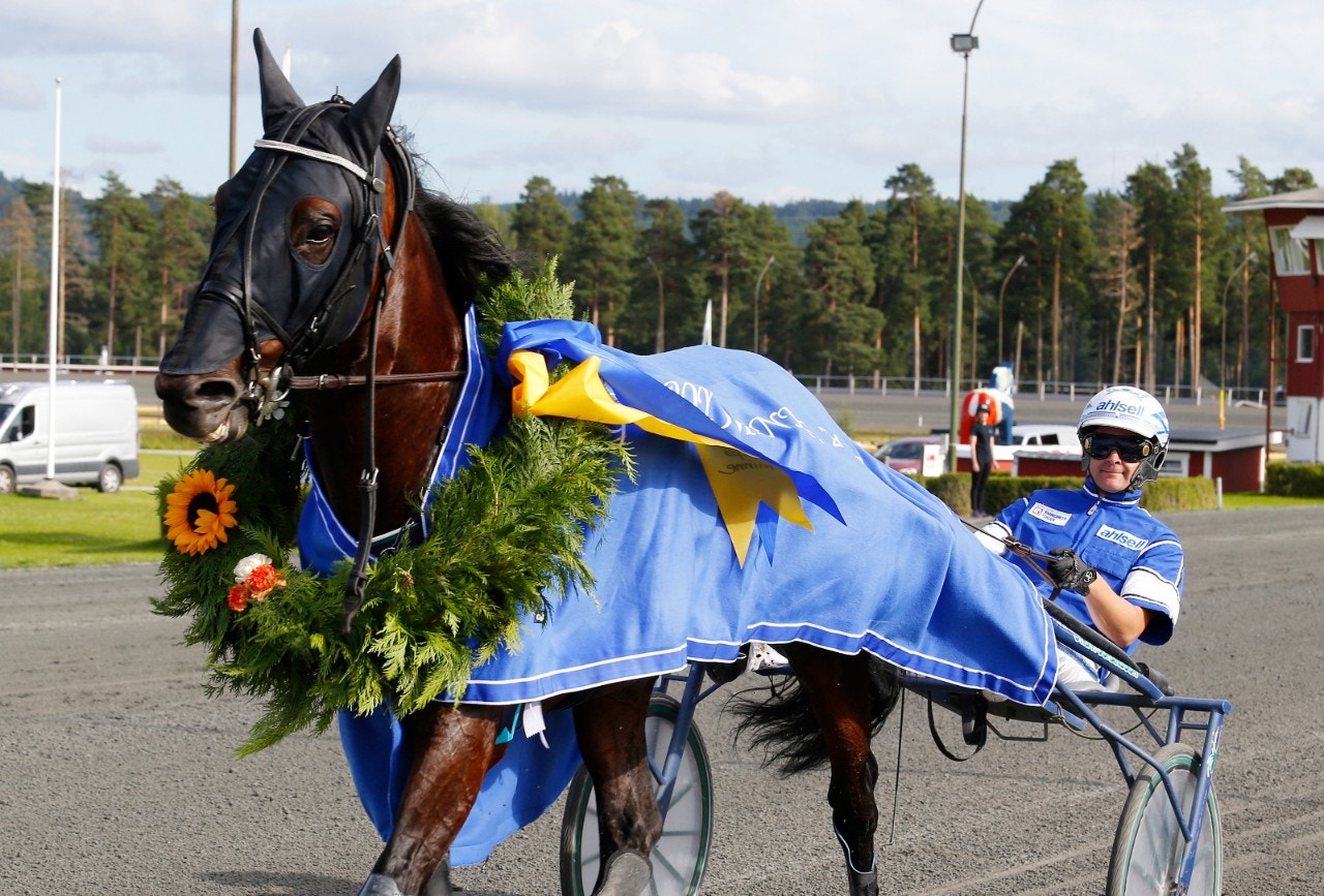 Diamanten i Silverörnen