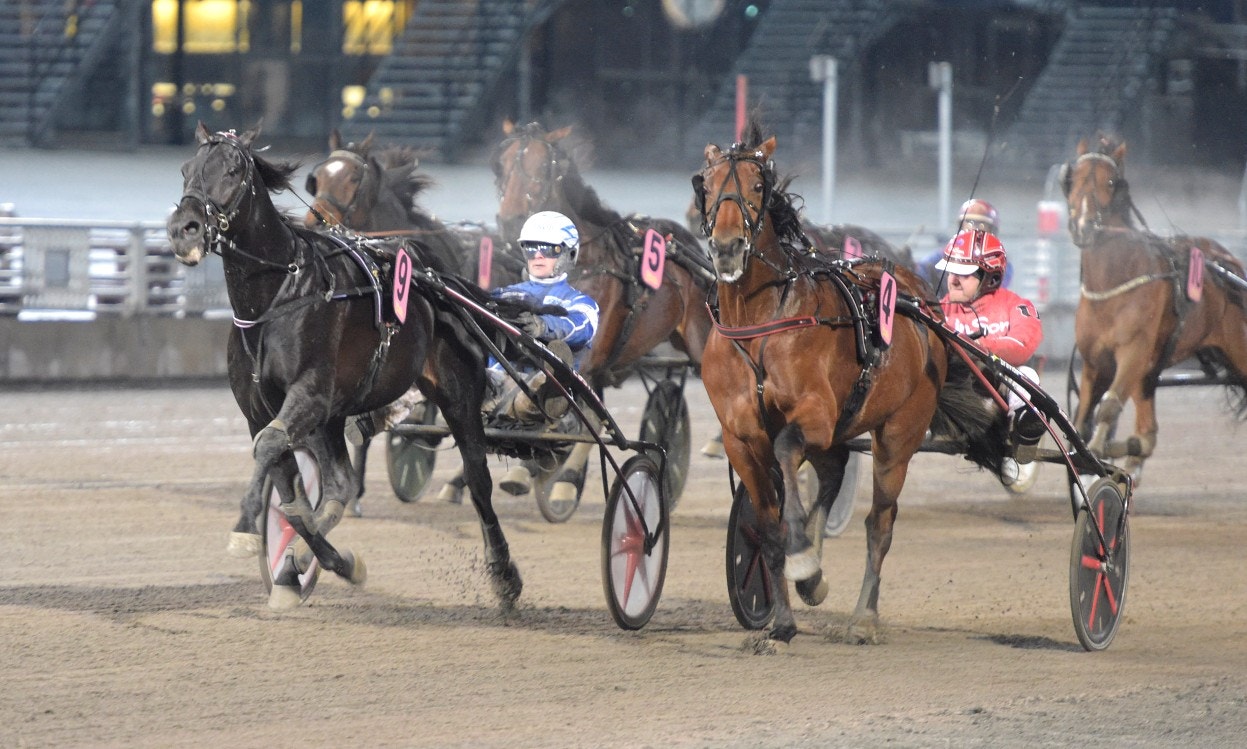 Femstjärnig Very Kronos