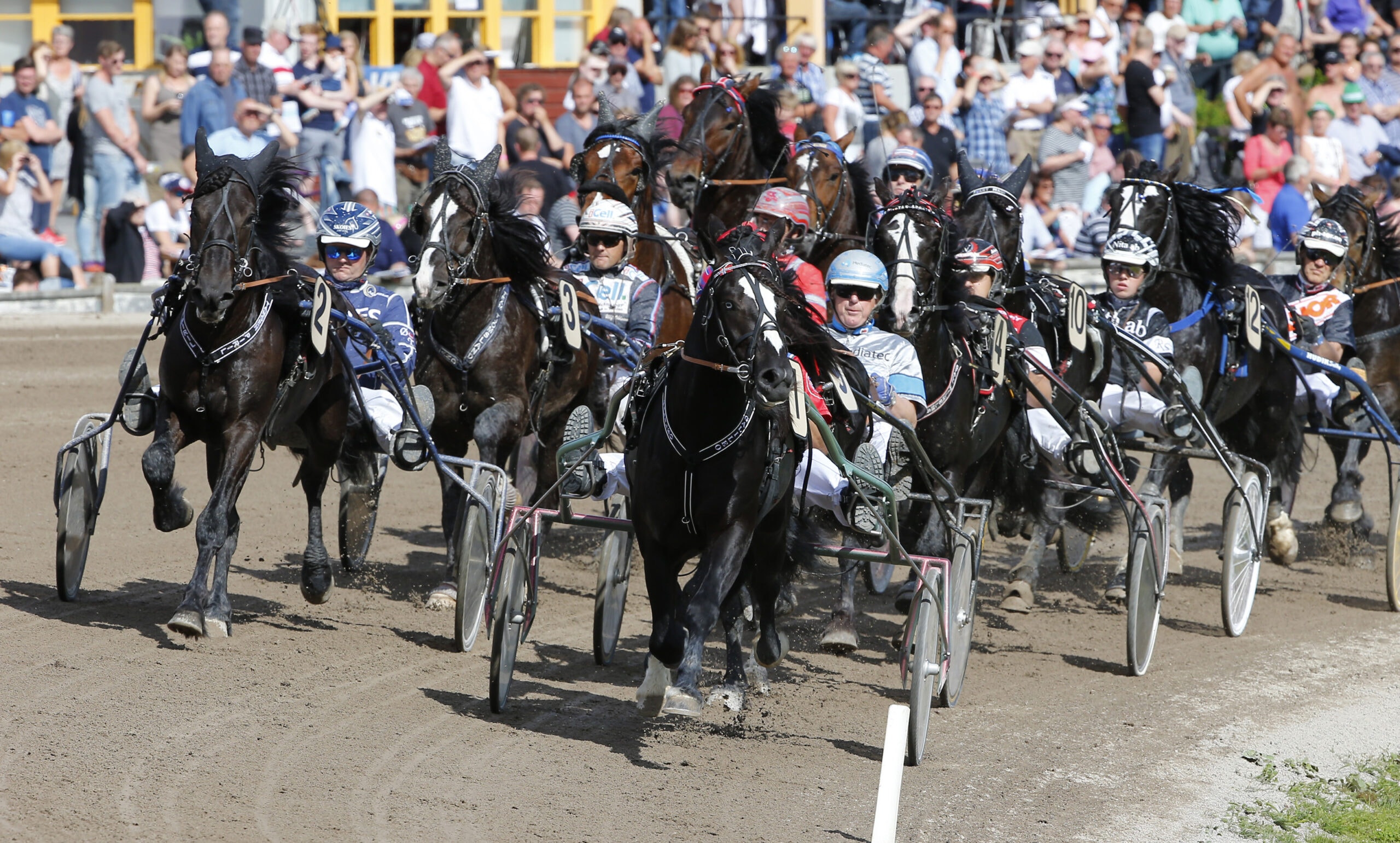 Foto: Micke Gustafsson, TR Bild