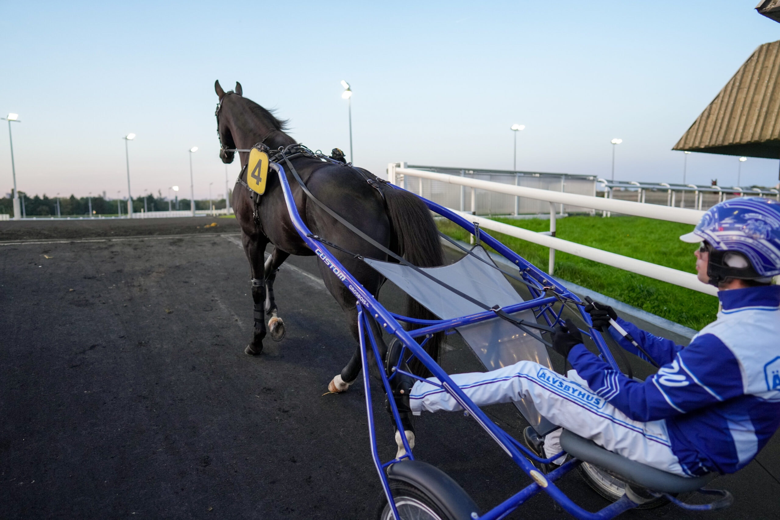 Foto: Thomas Blomqvist, TR Bild