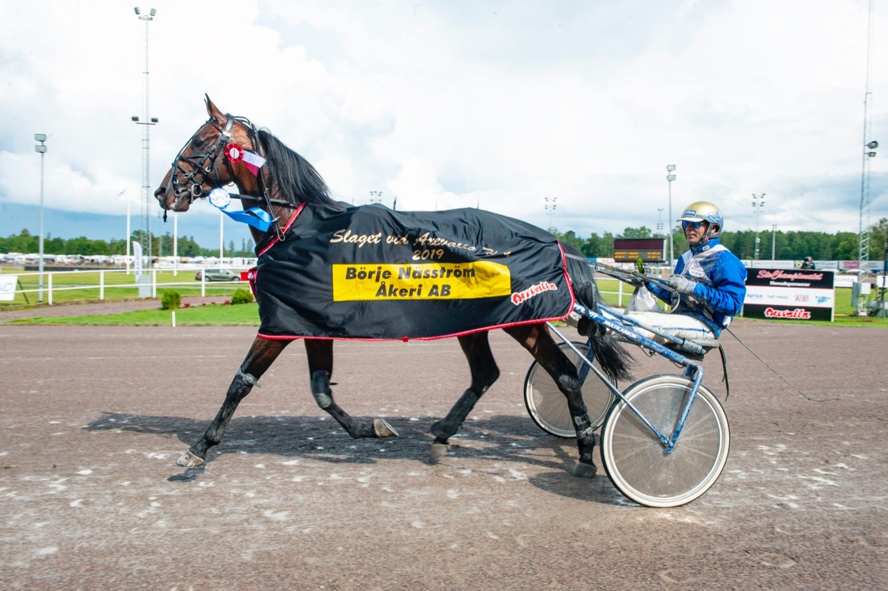 Ecurie D. levde upp till förväntningarna på Axevalla - Foto: ALN