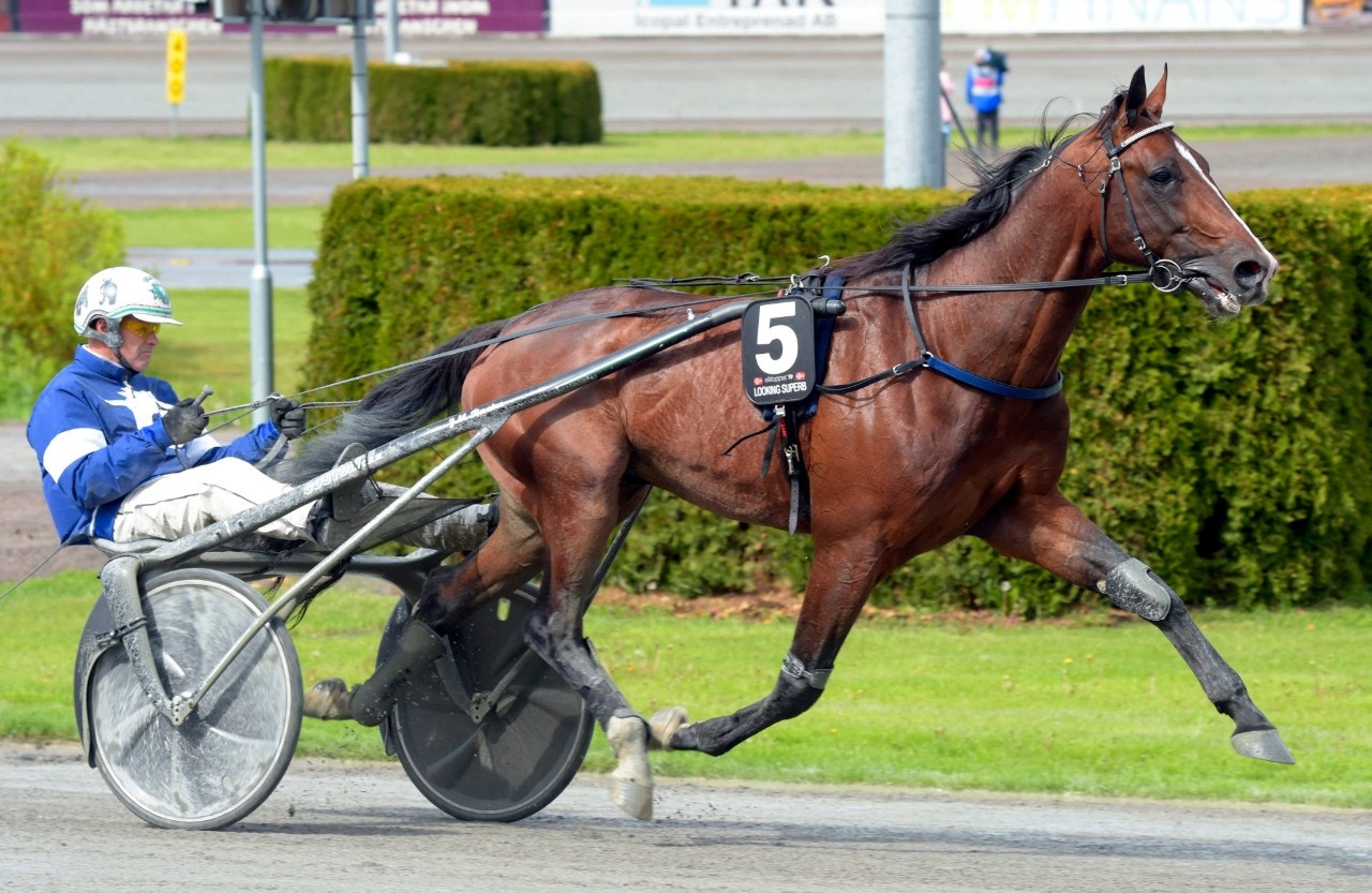 Hemmahoppet borta från Oslo Grand Prix