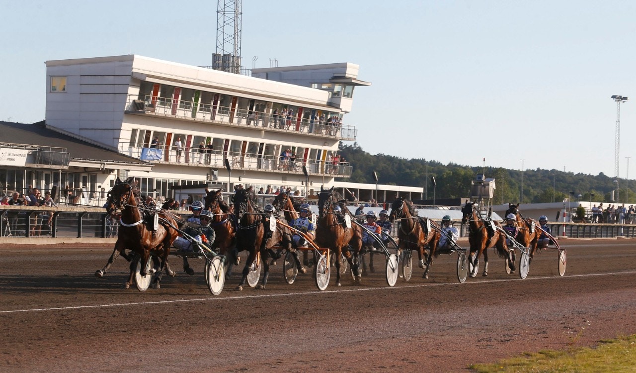 Åbytravet får ta över Axevallas tävlingar på måndag kväll. Foto: Hanold, ALN