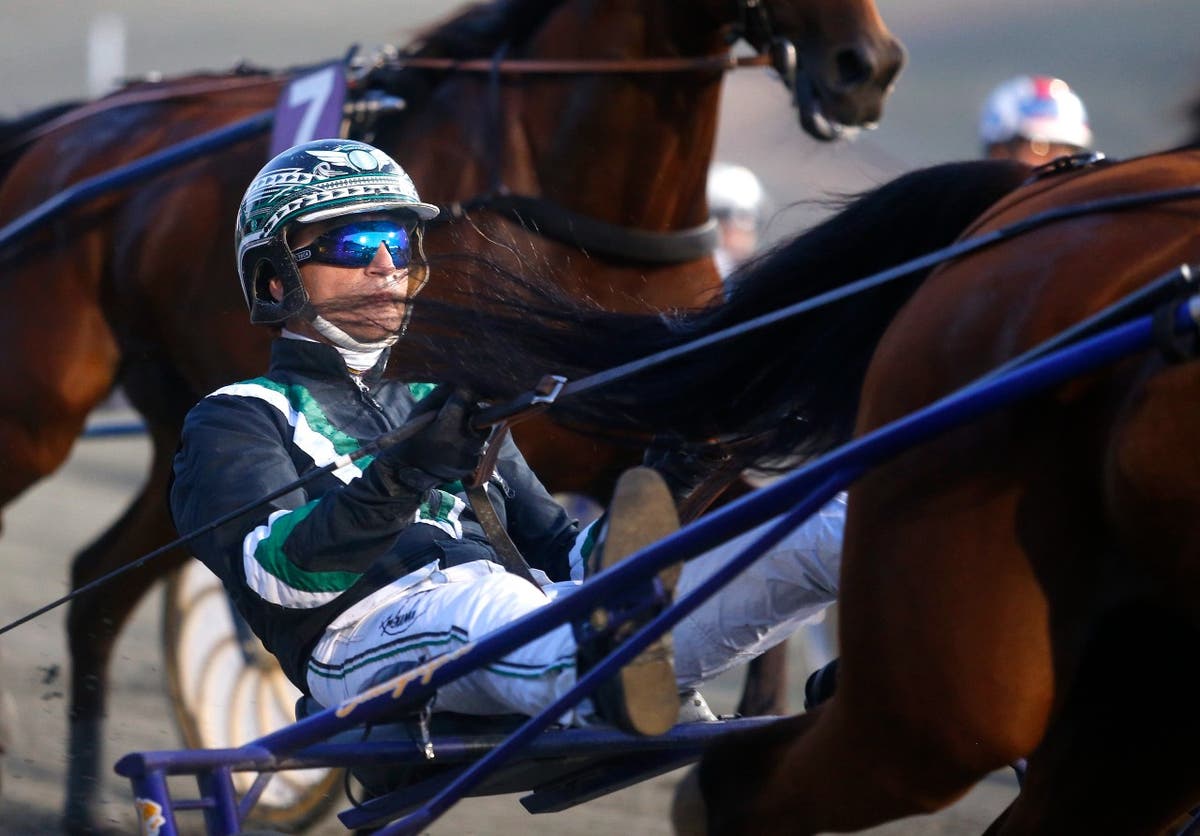 (152421) Takter Johnny sulky 1_2hanold