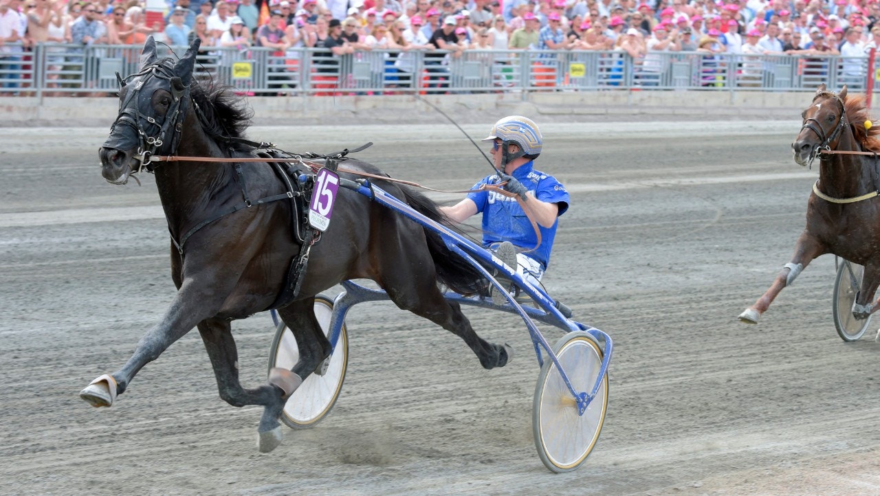 Fullträff för Västerbo Hard Cash