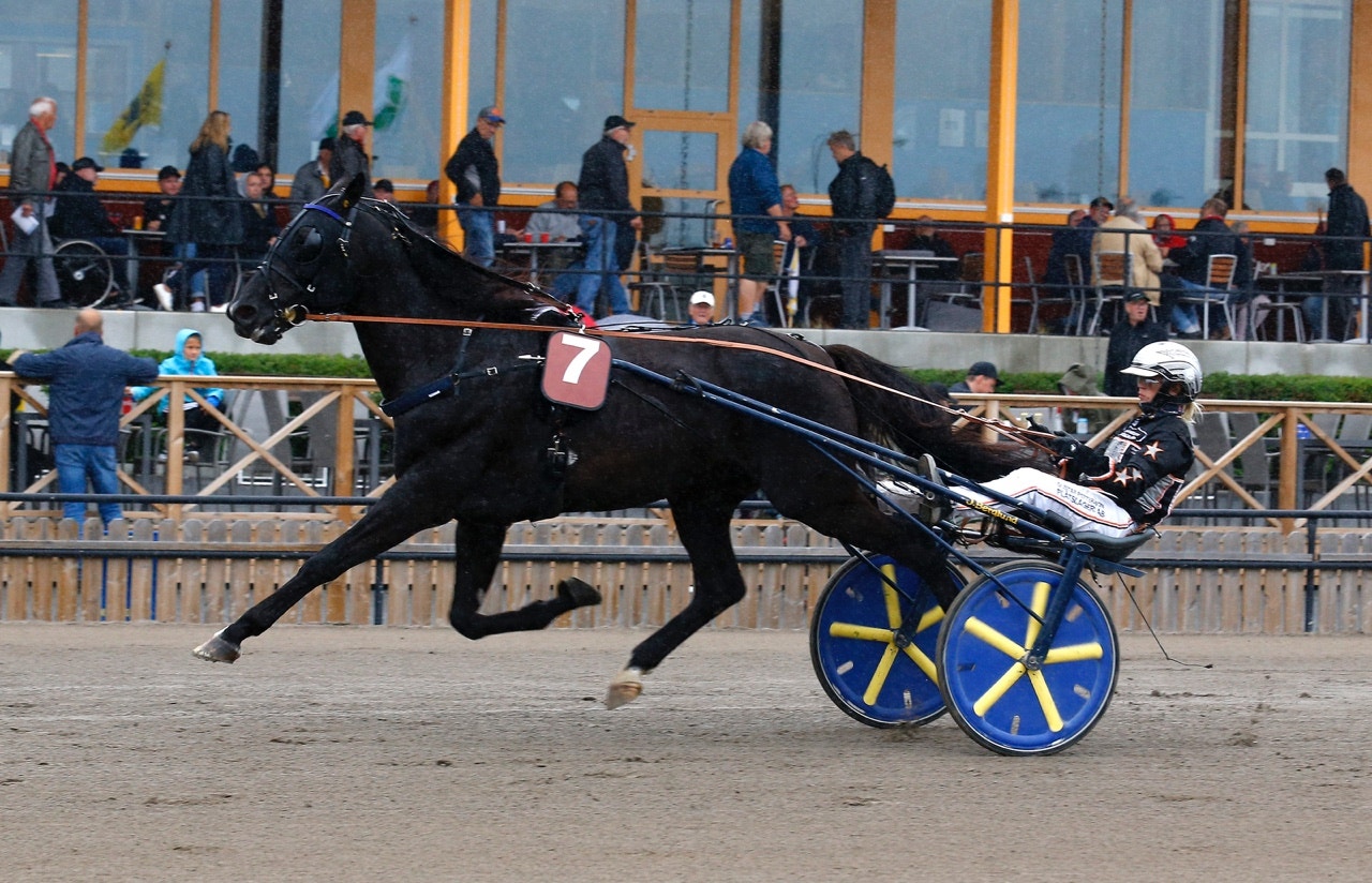 STL: Silverörnen till Shocking Superman
