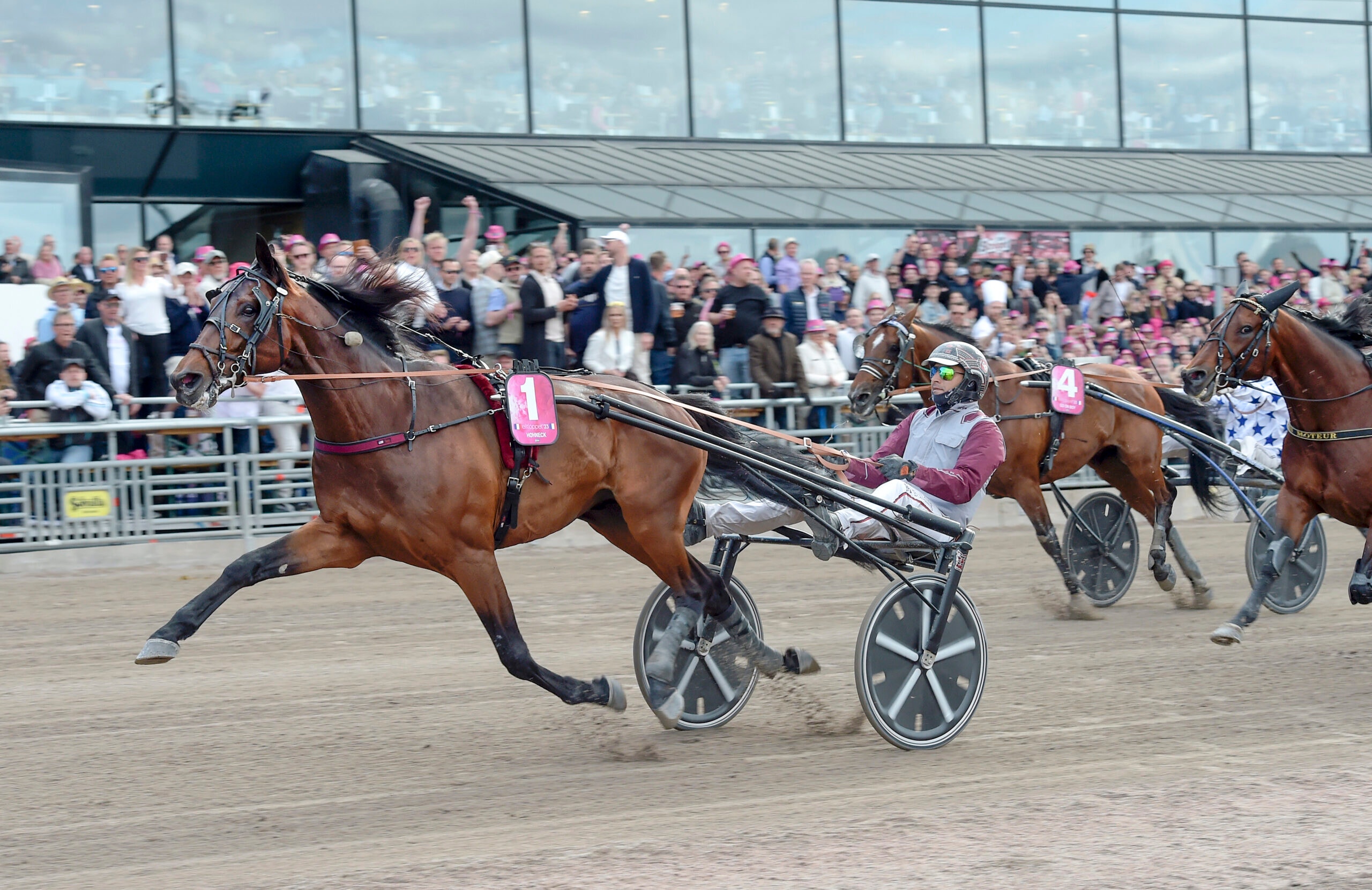 Foto: Lars Jakobsson, TR Bild