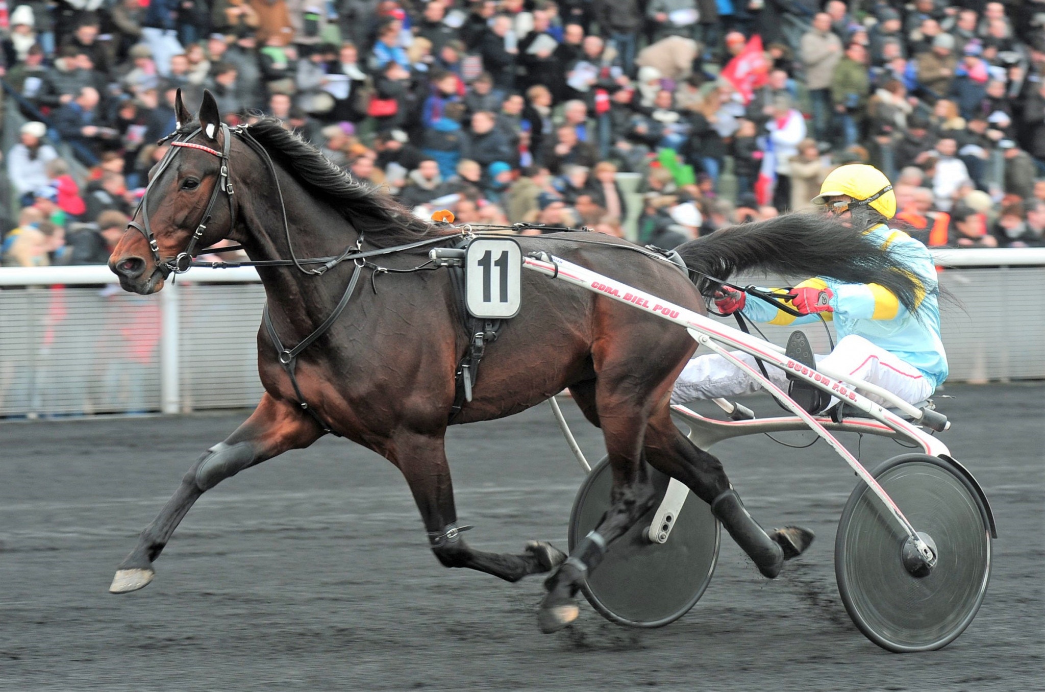 Trebol fortsätter samla segrarna på hög - nu 47 raka. Foto: ALN