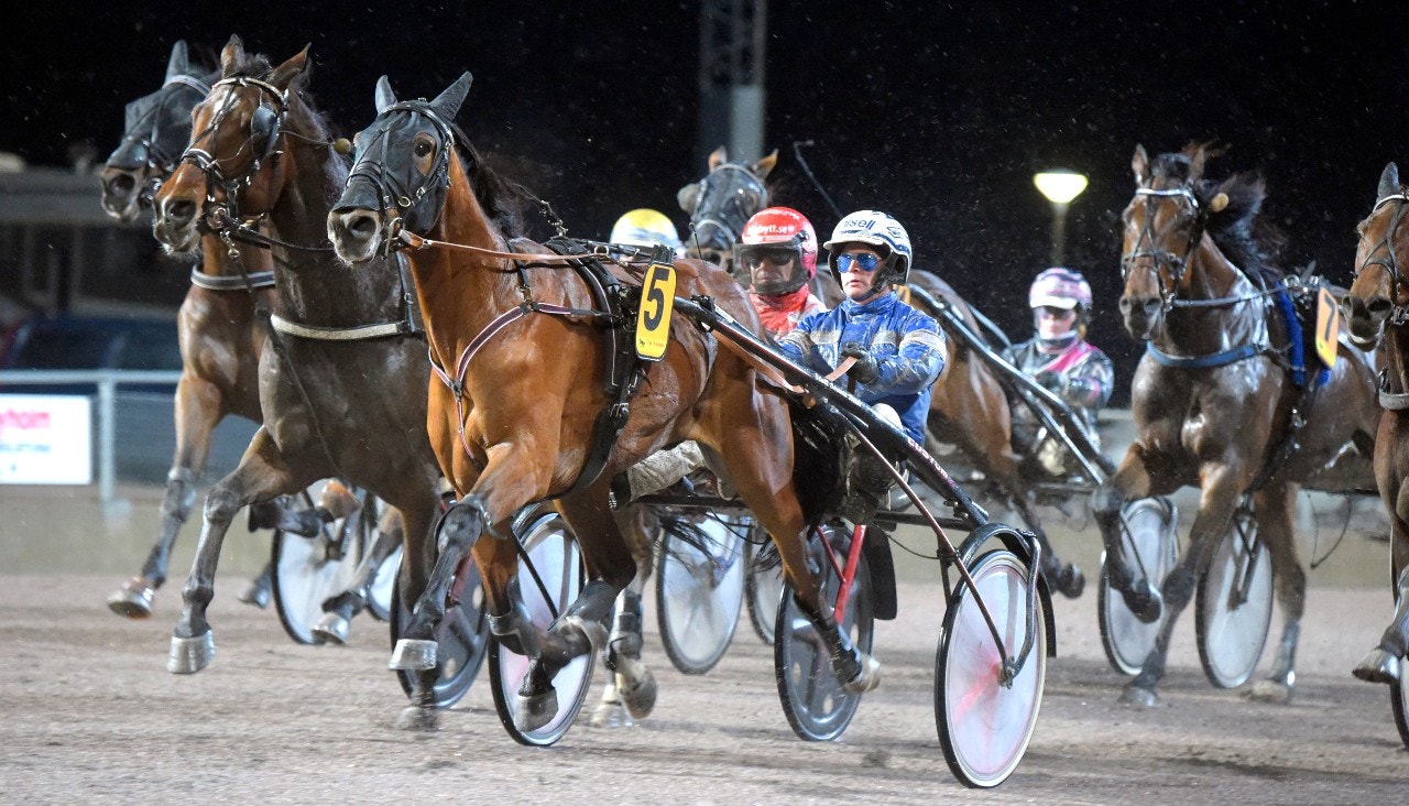 Bergsåker 8 oktober: Jag är på fint odds-letar-humör
