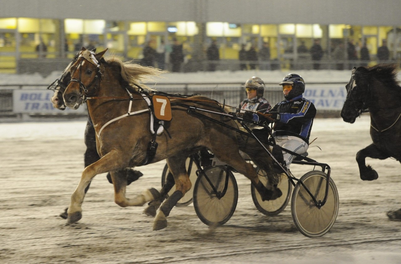 Boden 19 september: Hvalstad Odin vinner felfri