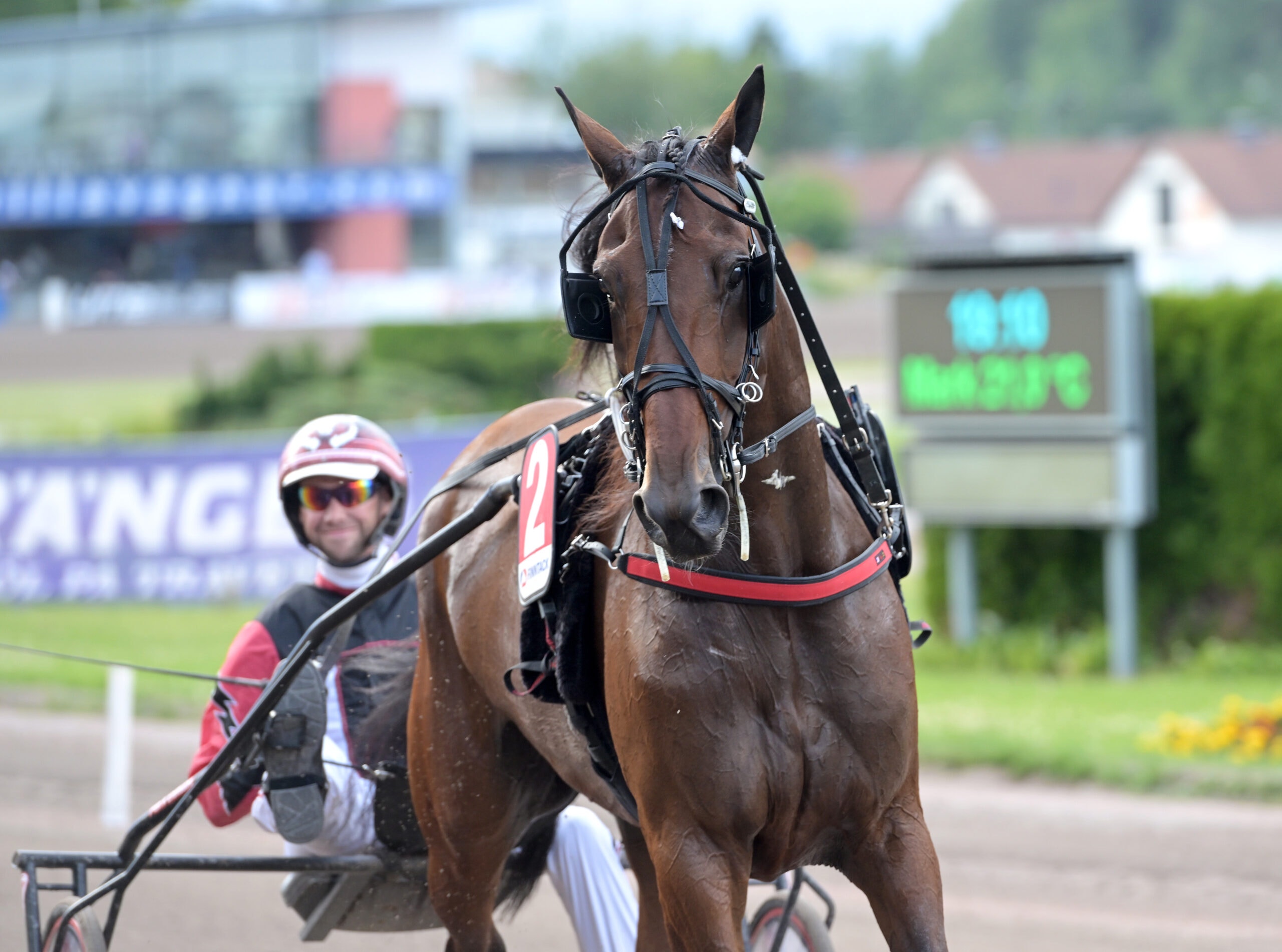 Foto: Lars Jakobsson, TR Bild