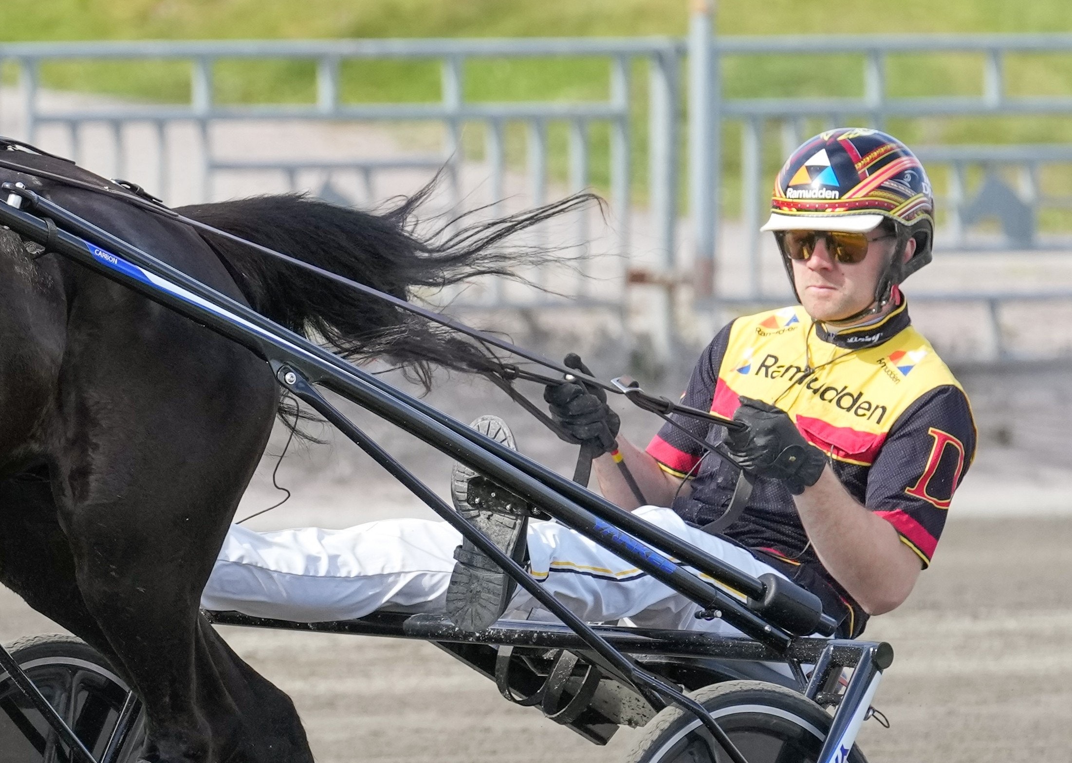 Kuskvagn-förare i tävlingsuniform kör med en svart häst. Föraren bär skyddsutrustning med hjälm och solglasögon.