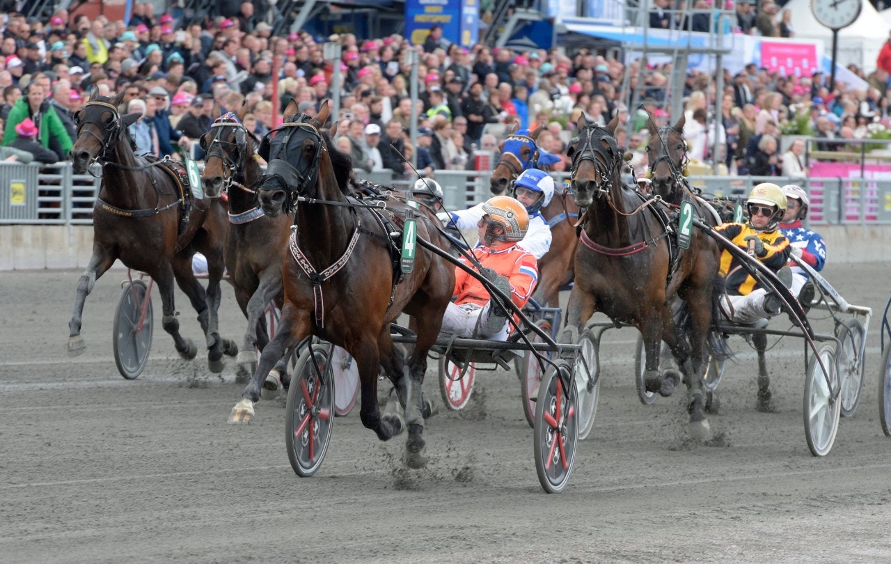 Kusk-VM: Ebbinge vann - men Finland i topp