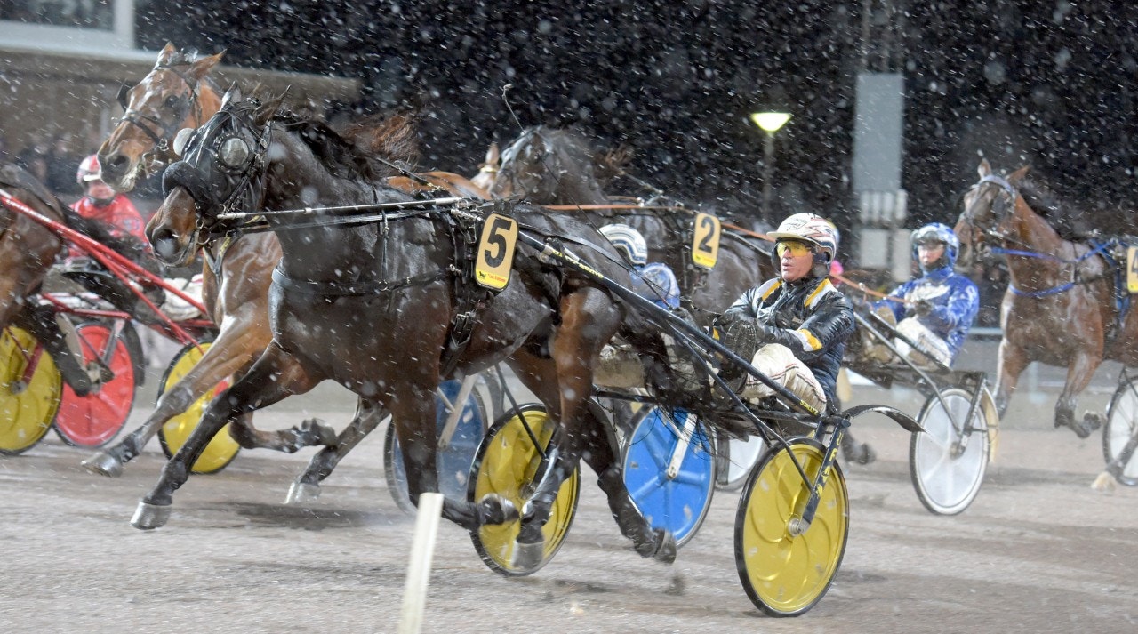 Milligan's School tar sig an Gävle Stora Pris i jakt på nytt guld. Foto: Martin Langels, ALN