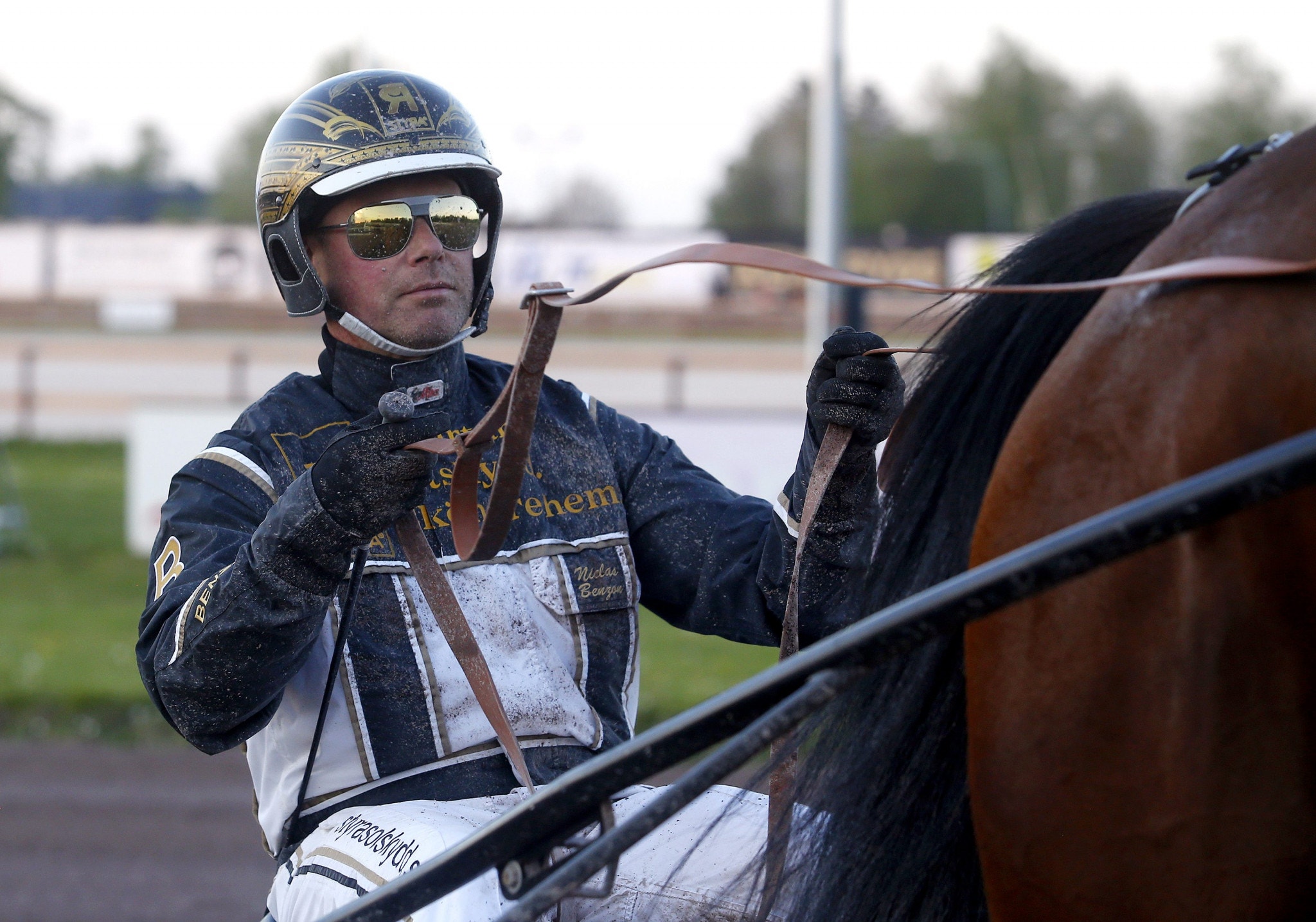 (127608) Benzon Niclas sulky 2