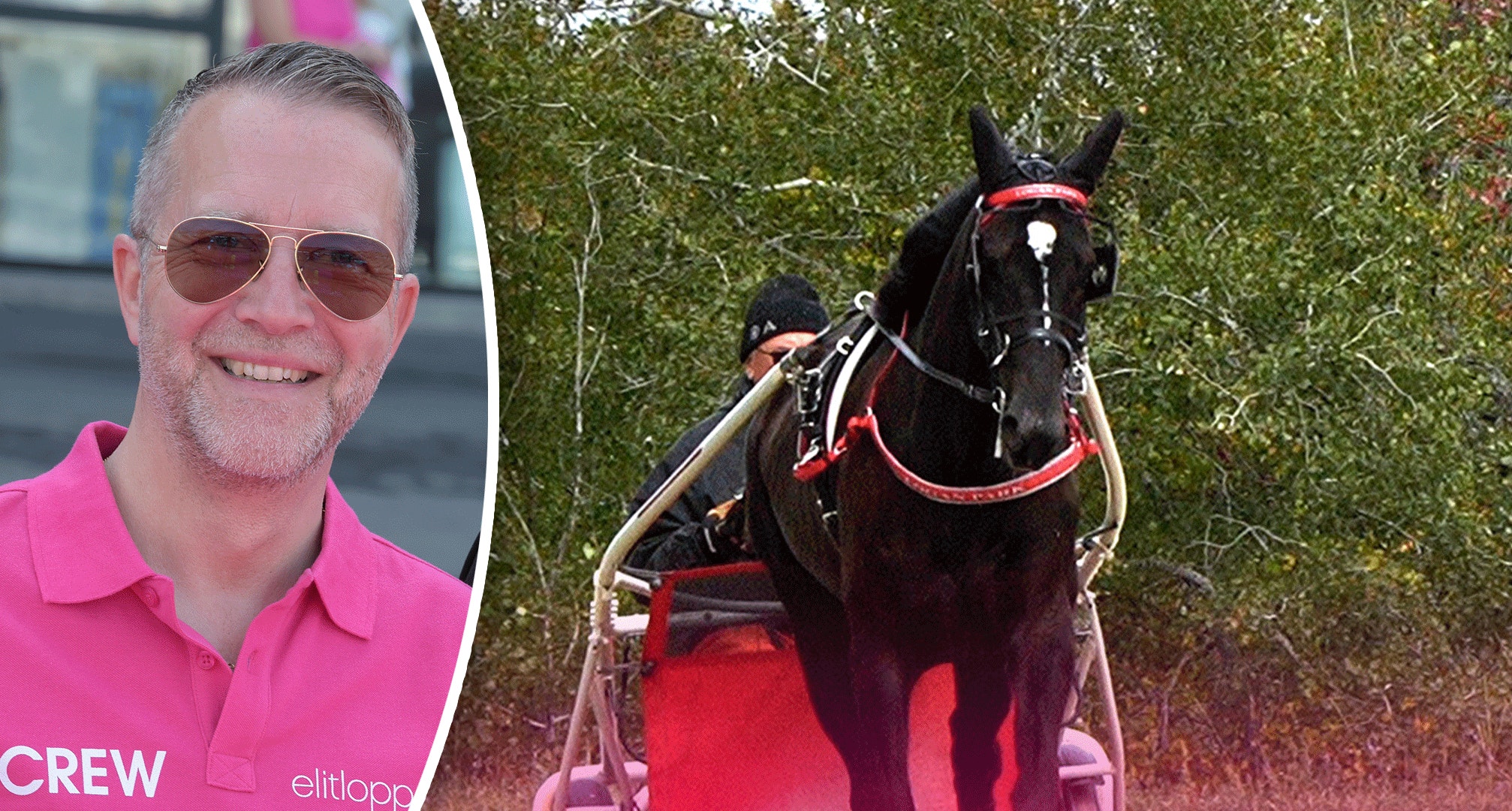 Elitloppsdeltagaren vann nattens årsdebut