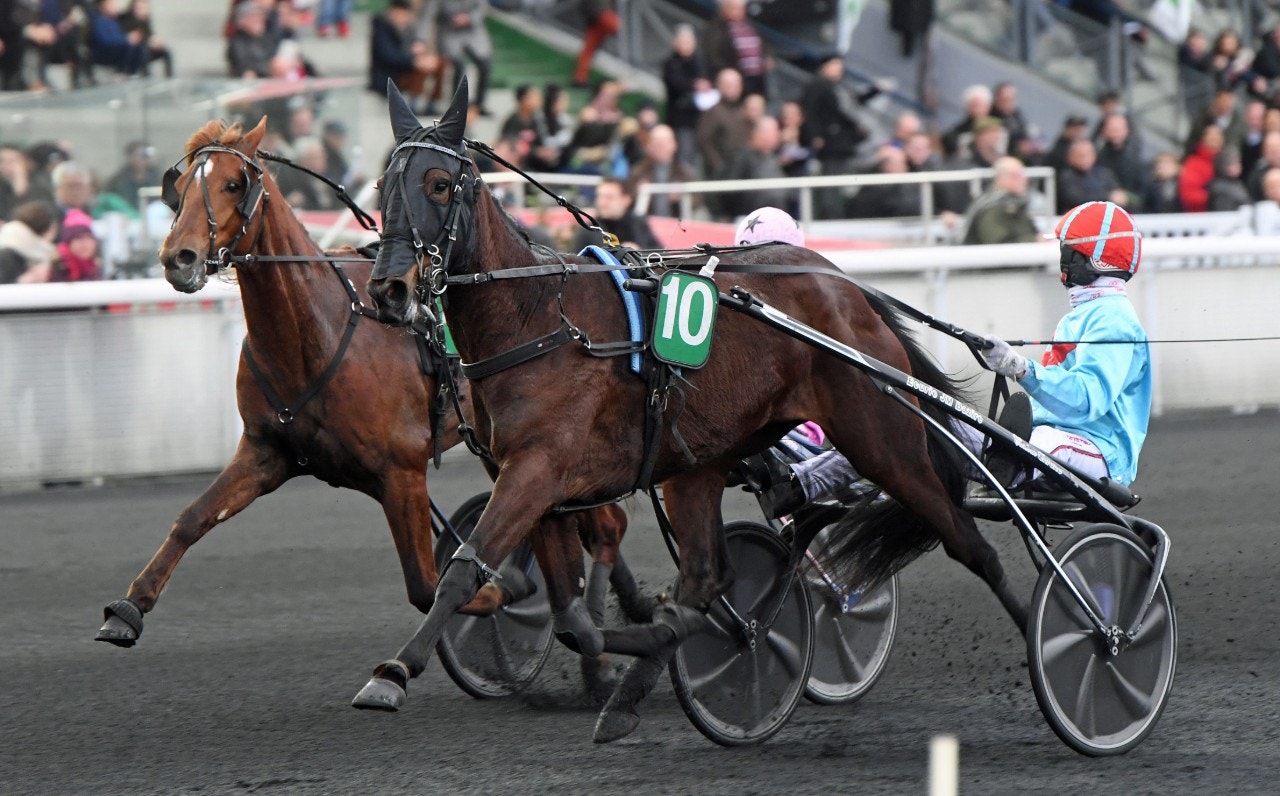 Havana d'Aurcy fortsatte segerraden