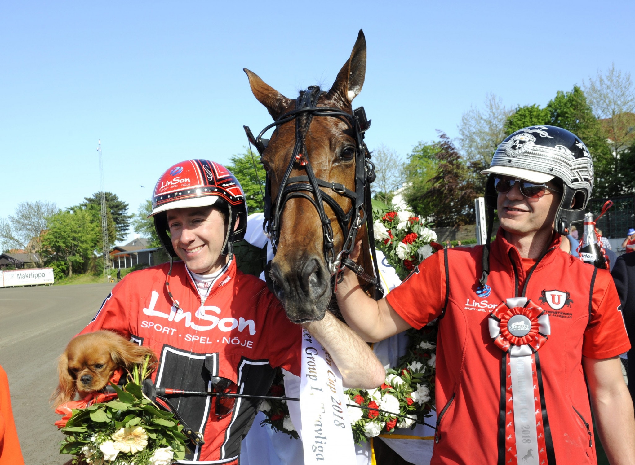 Cyber Lane kan få möta Arazi Boko och franske segermaskinen Dream de Lassiere i Sweden Cup. Foto: ALN