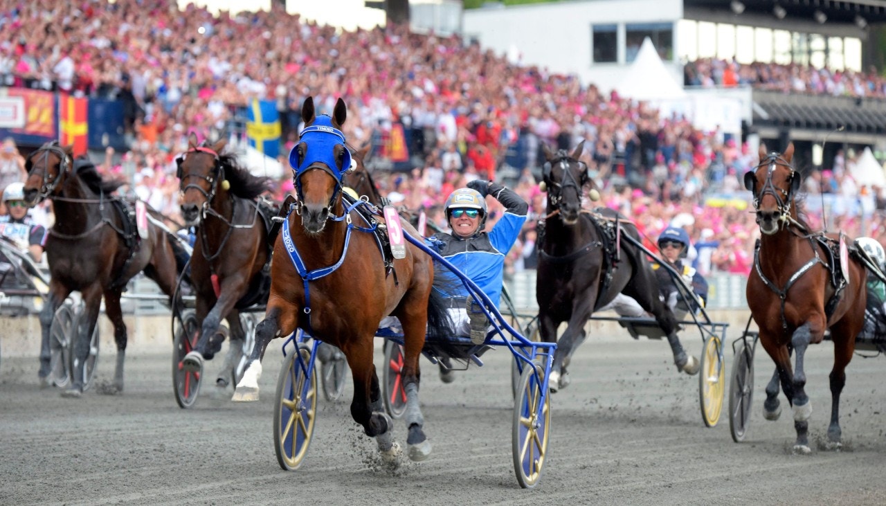 Tio veckor återstår innan alla hästar i Elitloppet ska vara klara. Genrefoto: Martin Langels, ALN