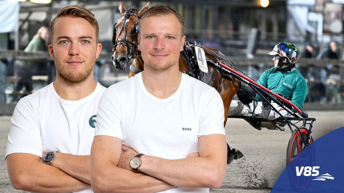 V85-Travnet-Stens Rubin