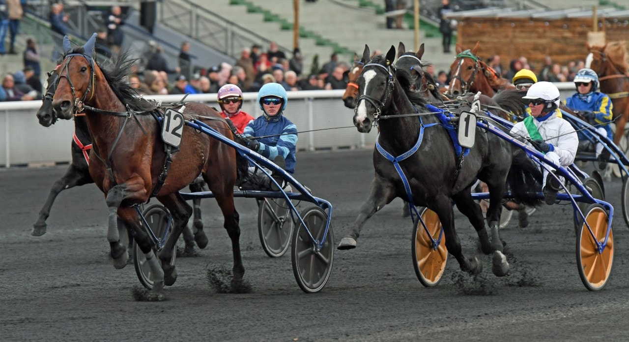 Excellent vinner Prix Doynel de Saint-Quentin före en invändigt spurtande Short in Cash. Foto: Gerard Forni, Scoop Dyga.