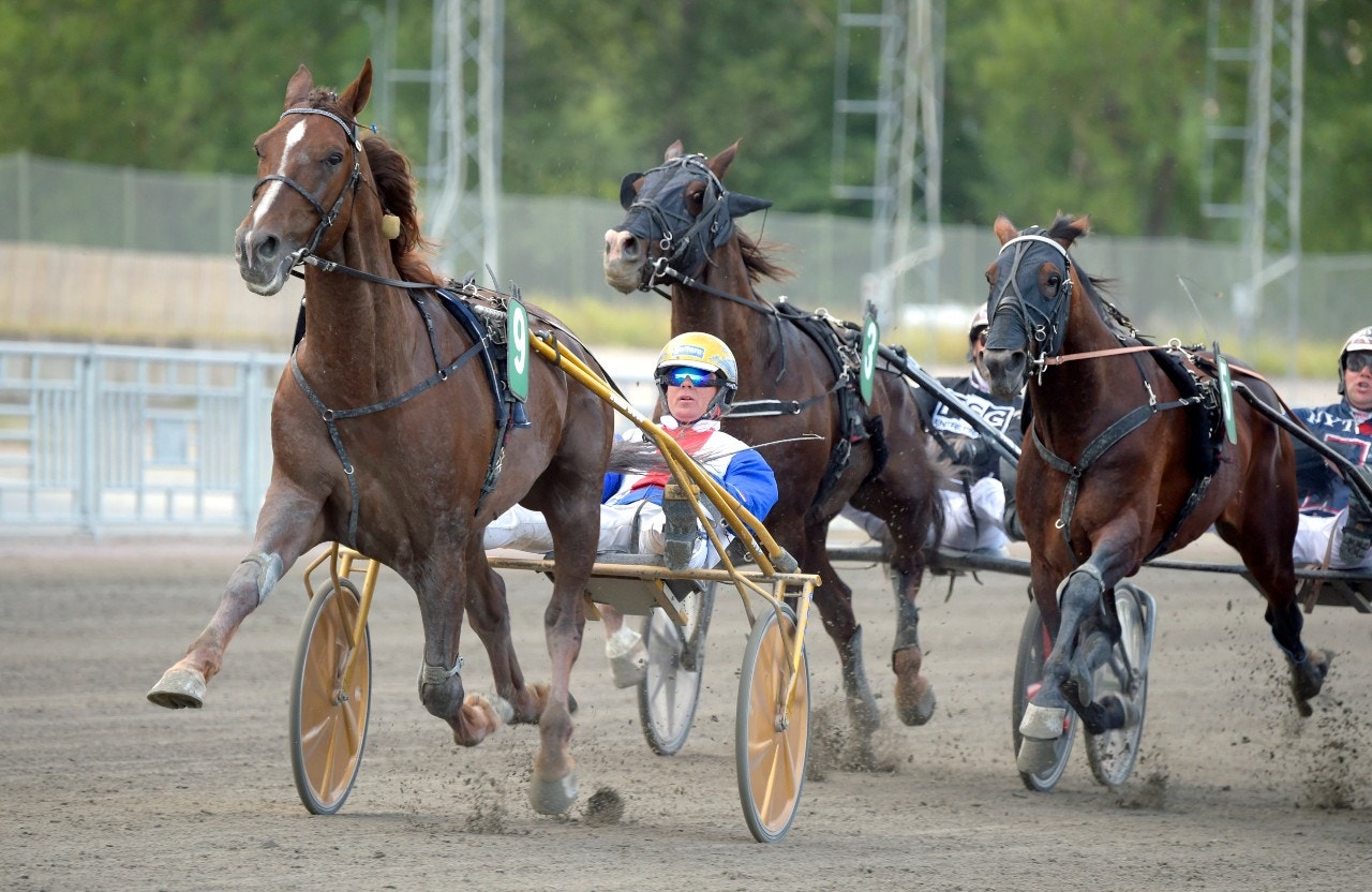 Romanesque med Björn Goop vid en seger i Örebro i somras. Foto: Martin Langels, ALN