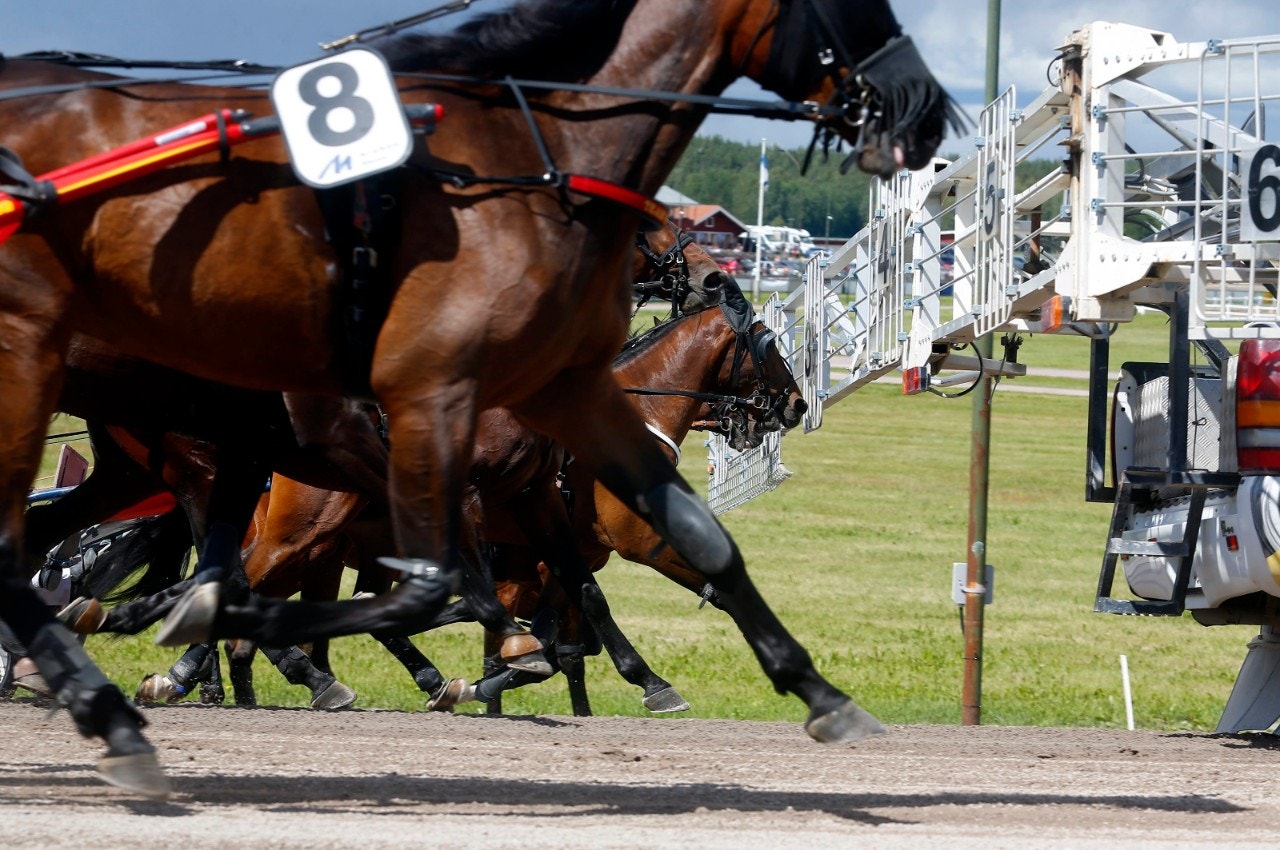 Svensk Travsport skärper straffen för enhandsdrivningar