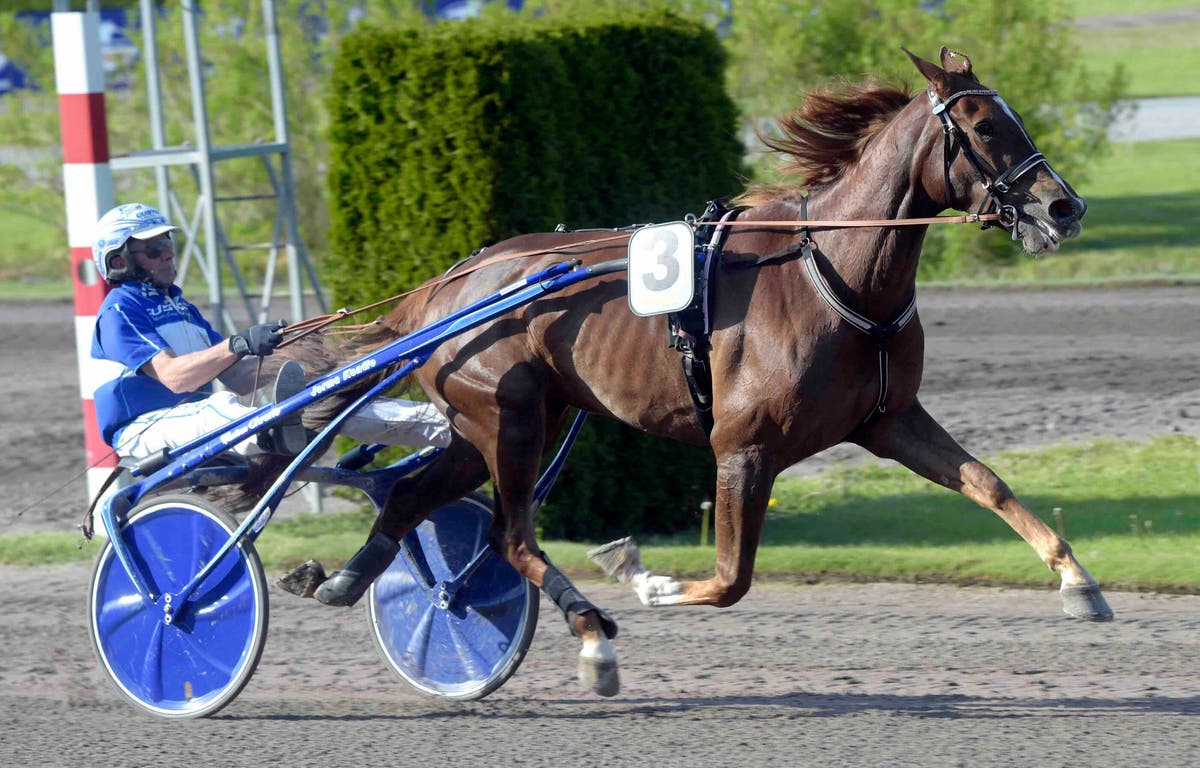 Relevant Stride