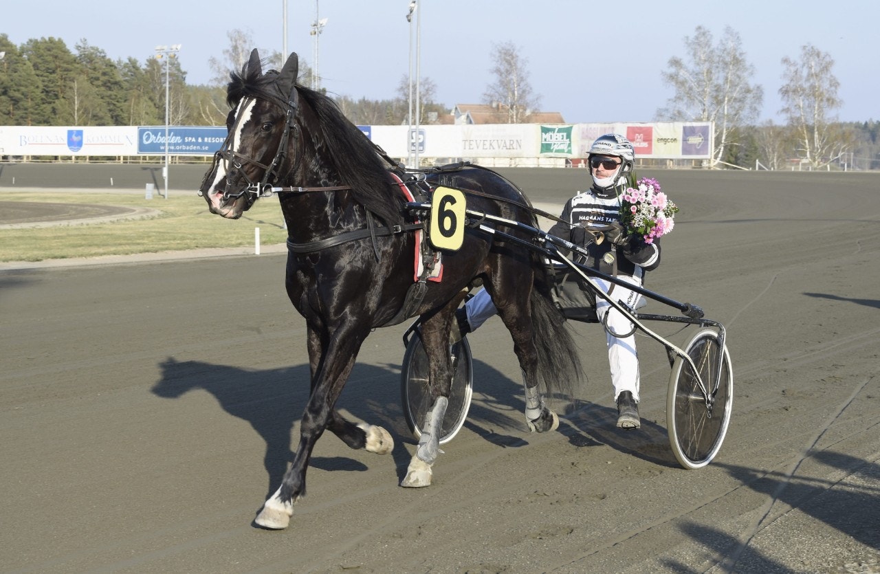 Tekno Jerven har fått en gaffelbandsskada. Foto: ALN