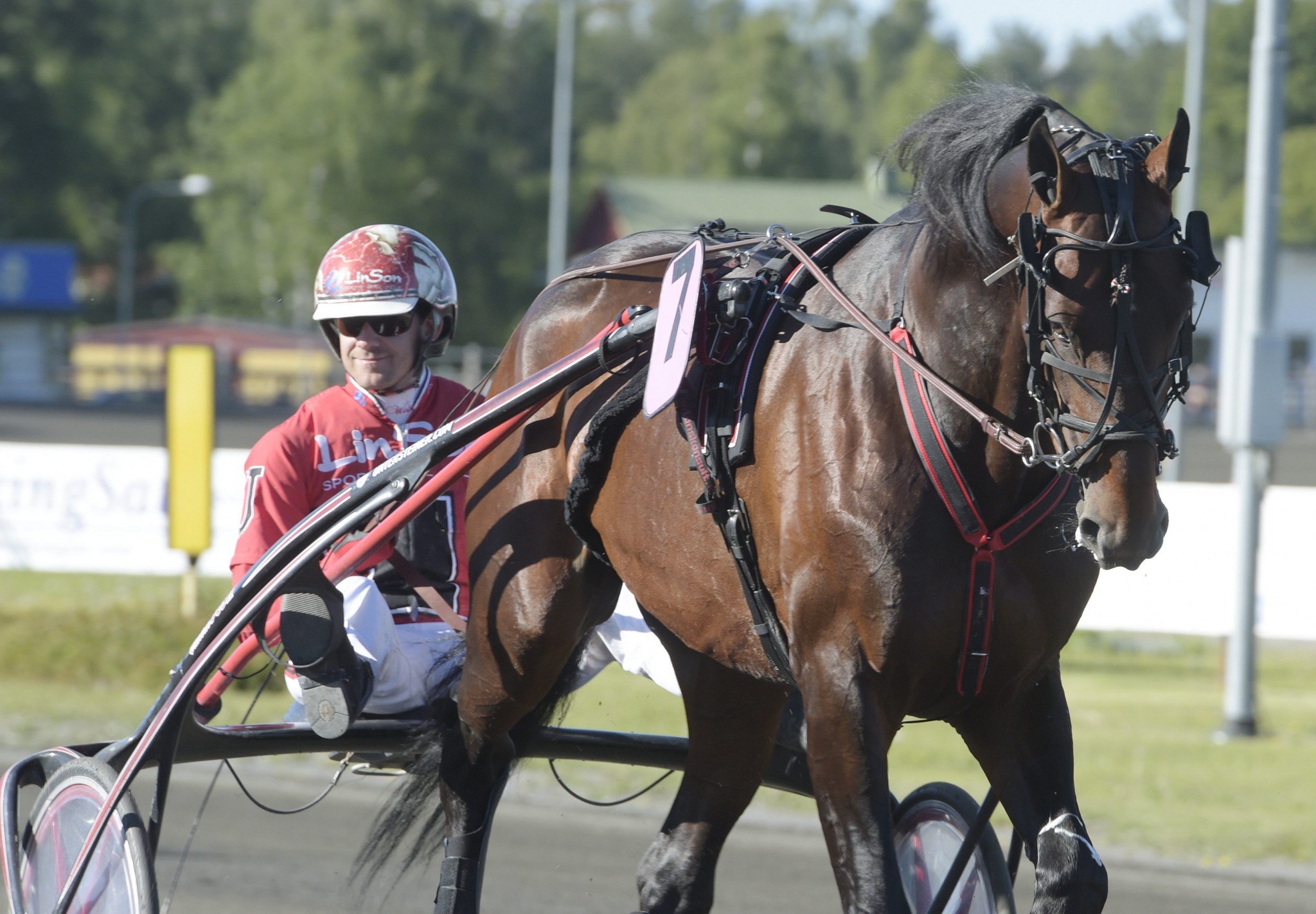 Day or Night In - näst sist in i Elitloppet