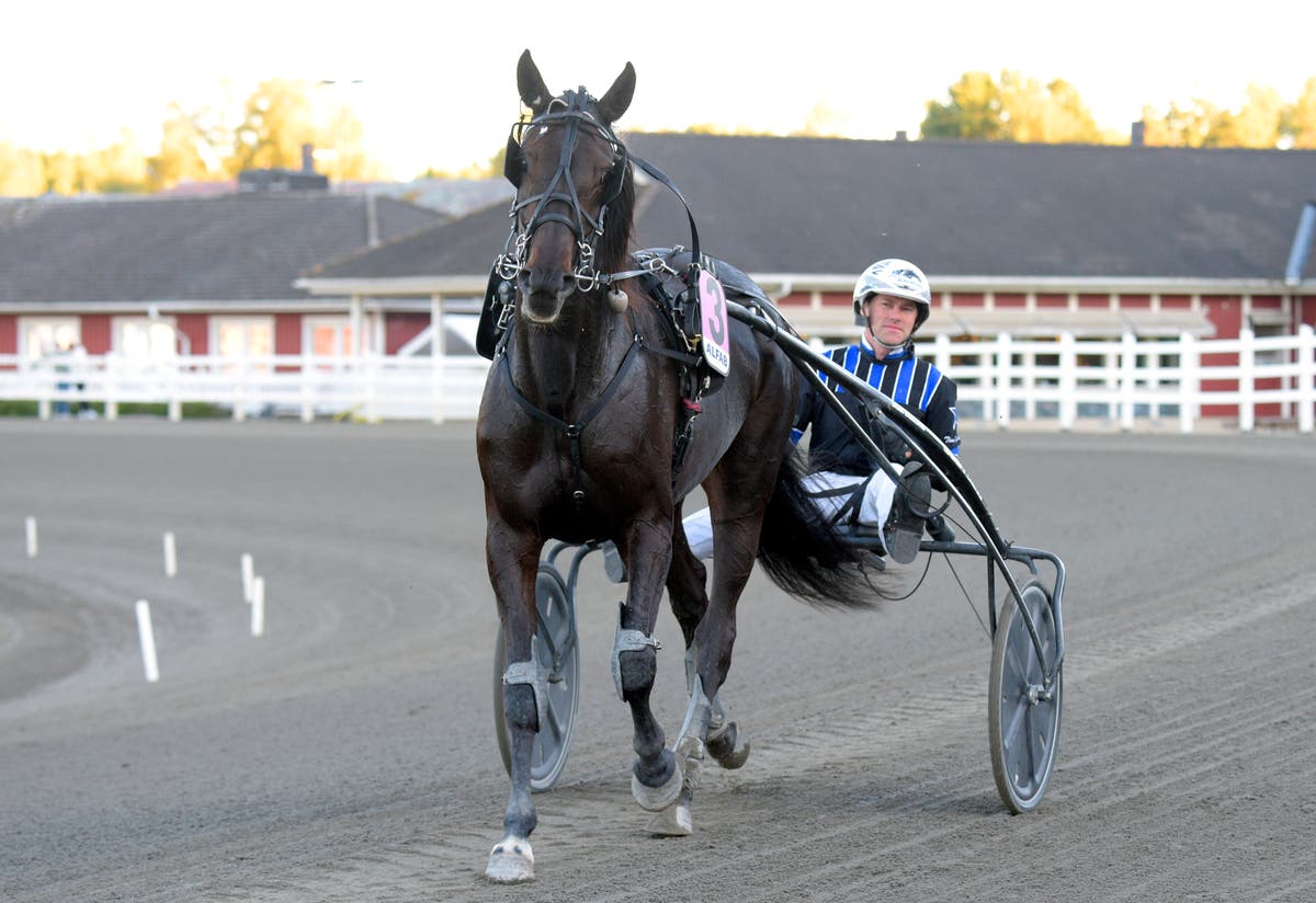 Thomas Dalborg