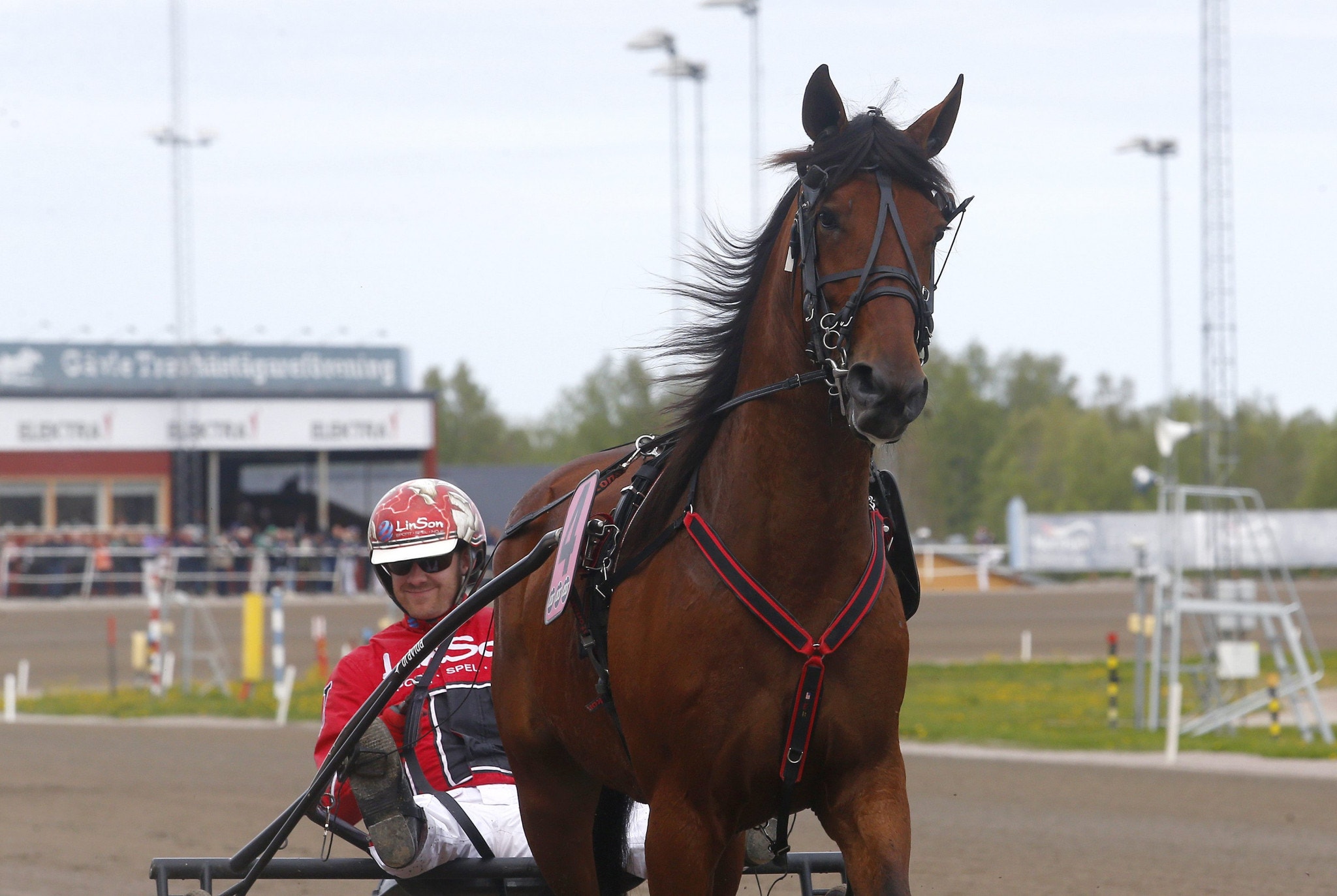 Tips Kalmar 23 juni: Pastore Bob leder runt om