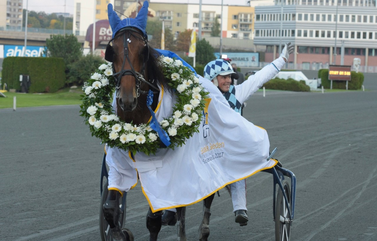 Drôle de Jet kommer till Åby Stora Pris med toppform. Foto: Leif Norberg, ALN