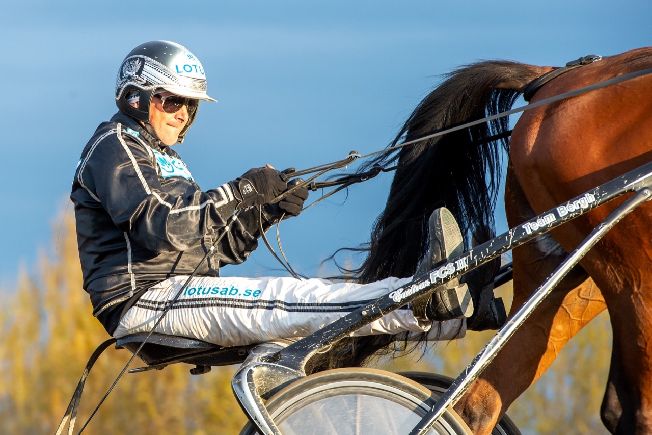 Robert Bergh fick från sidan se tre hästar kvala in till derbyt igår. Nya chanser idag med bl.a. Speedy Tilly - Foto: ALN