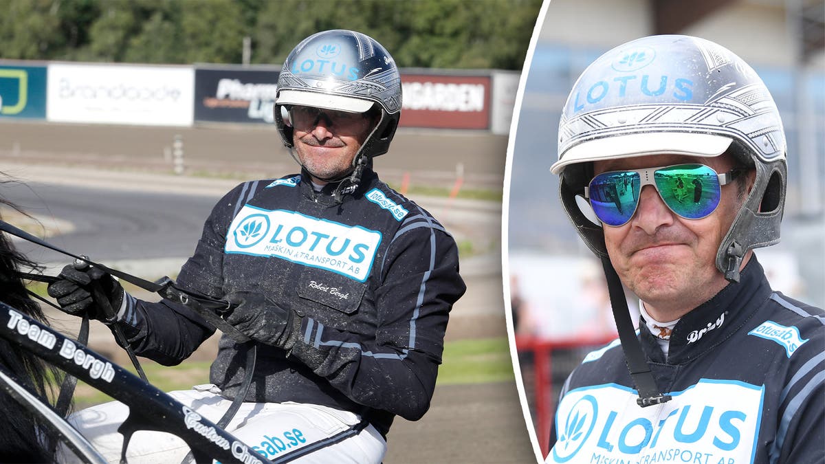 Robert bergh avstängning