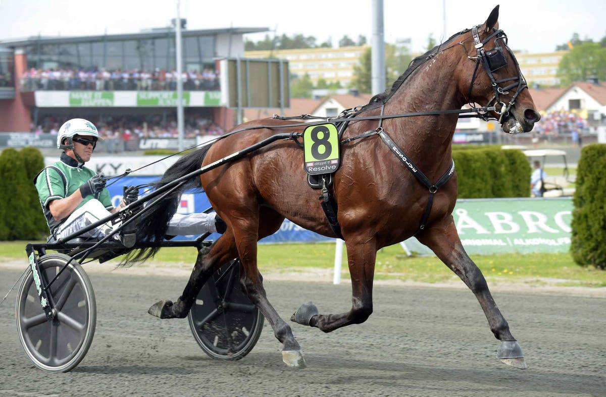 (74764) Foto: Martin Langels/ALNSolvalla 20170528