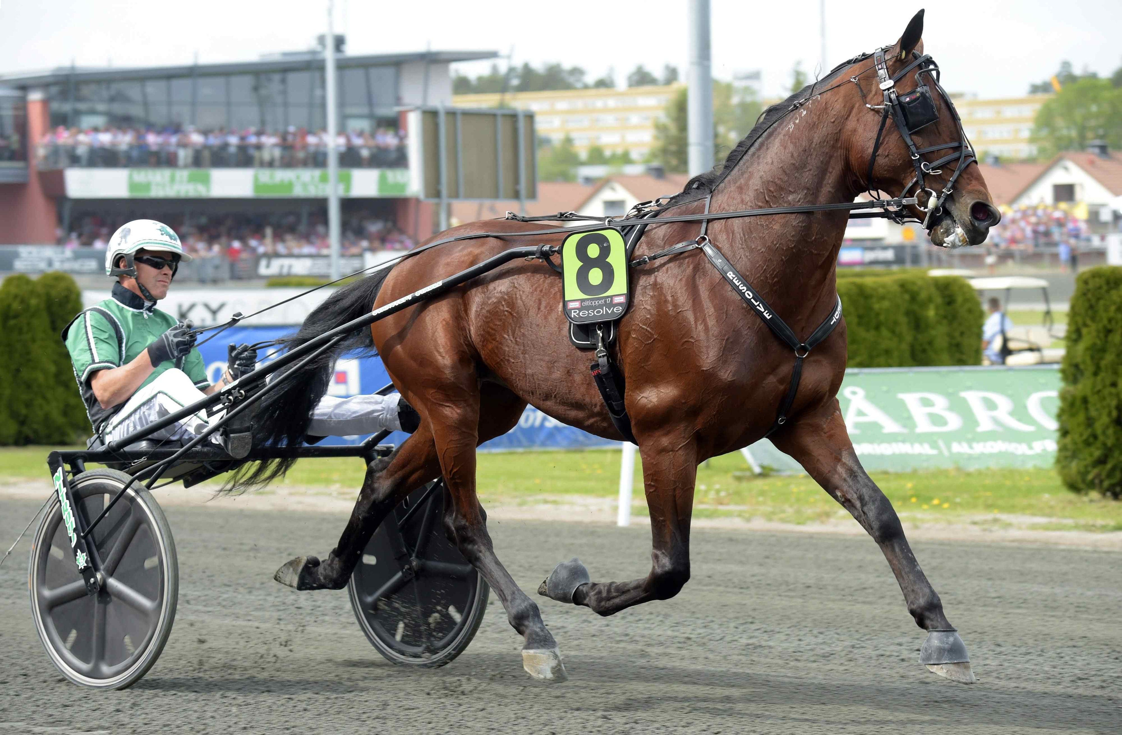Resolve försvarar titeln i Maple Leaf Trot