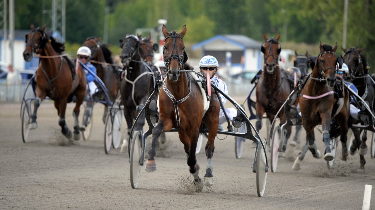 O'Grady vid en av sina segrar för Flemming Jensen. Foto: Martin Langels, ALN