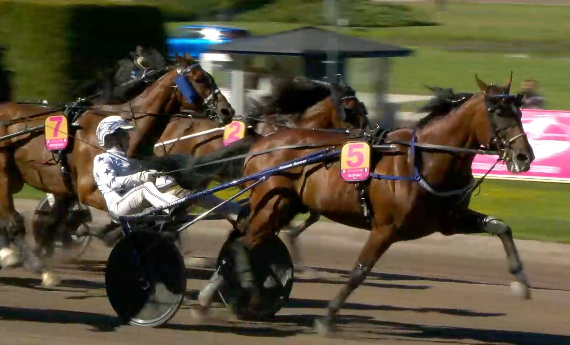 En kuskar i vit och svart outfit kör två bruna hästar i en travtävling. Hästarna drar en sulky på en racerbana med grönt gräs i bakgrunden.