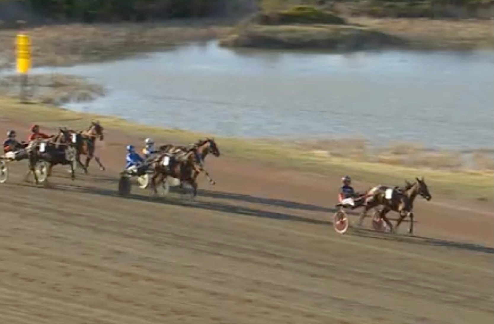 Hästkappkörning på en sandstrand med flera kuskar i sina vagnar. Hästarna springer längs stranden med vatten och gräs i bakgrunden.