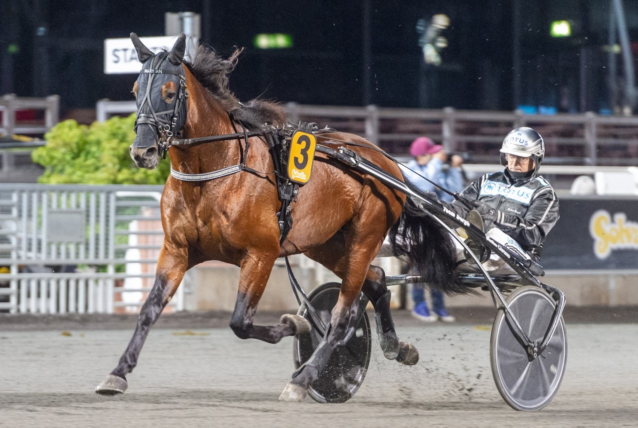 Nu är det dags för Mary Am? Foto: Tommy Andersson, ALN