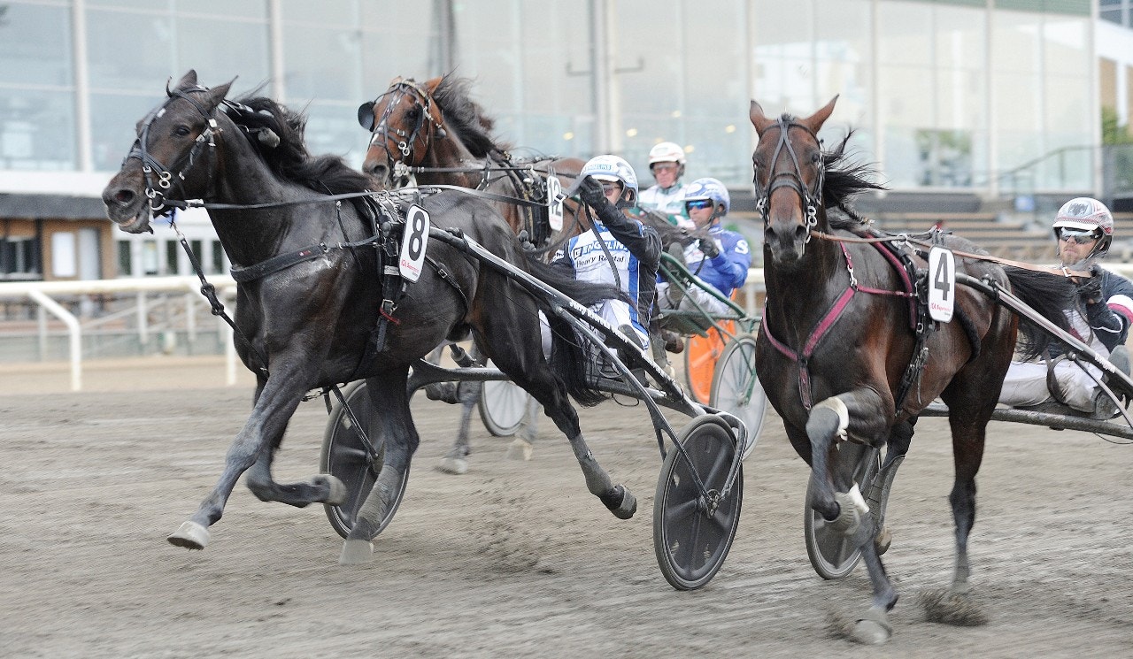 Aetos Kronos är en av ett talrikt antal stjärnor som luftas i tredje deltävlingen. Foto: Jörgen Tufvesson, ALN