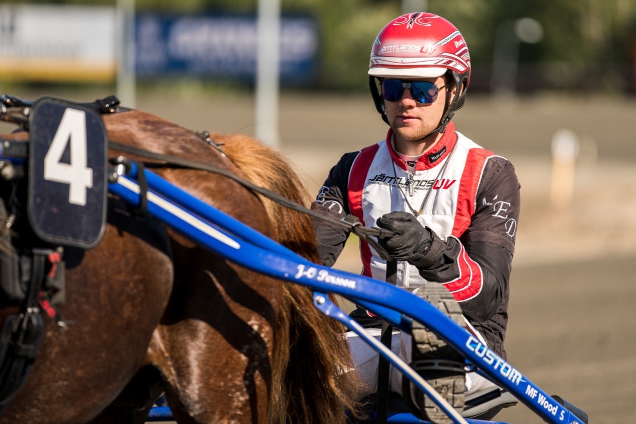 Mats E Djuse och Oppgårdsdrängen kvalade in til det norska kallblodskriteriet - Foto: ALN
