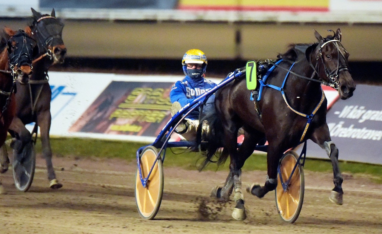 Eagle Eye Sherry sprintar undan lätt till seger i årsdebuten. Foto: Martin Langels, ALN