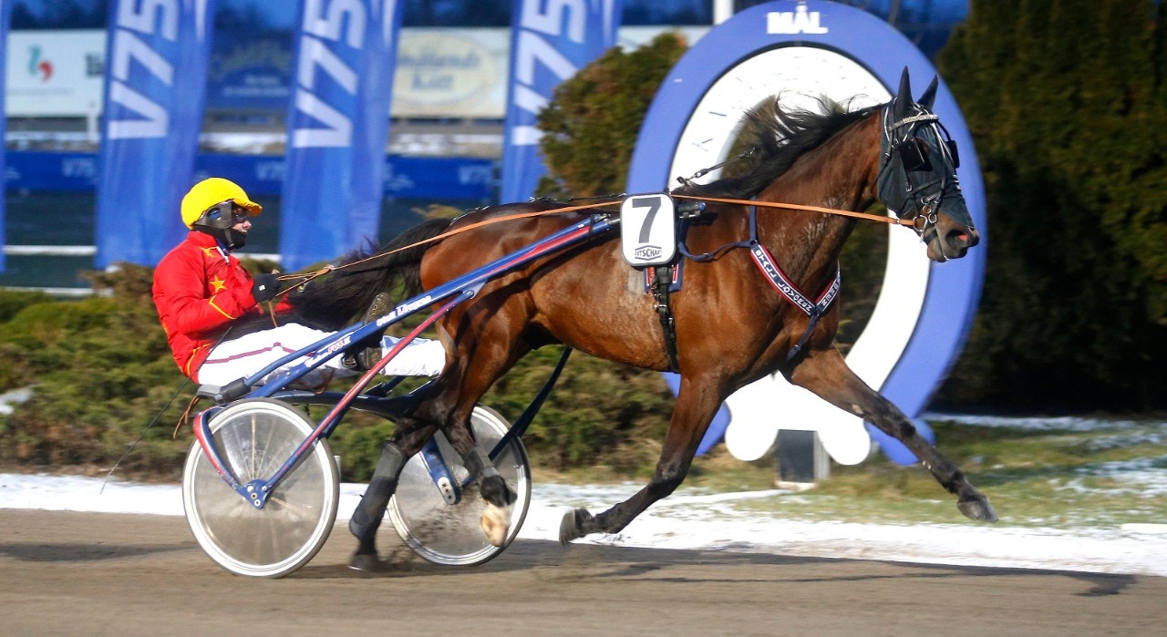 Miljonären död efter olycka i hagen
