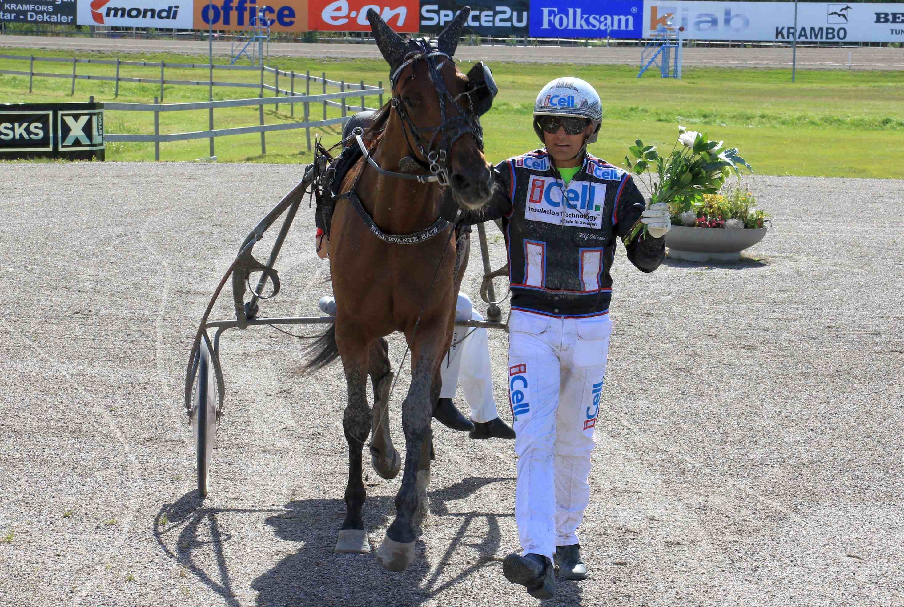 Fredag: V65-tips till Romme