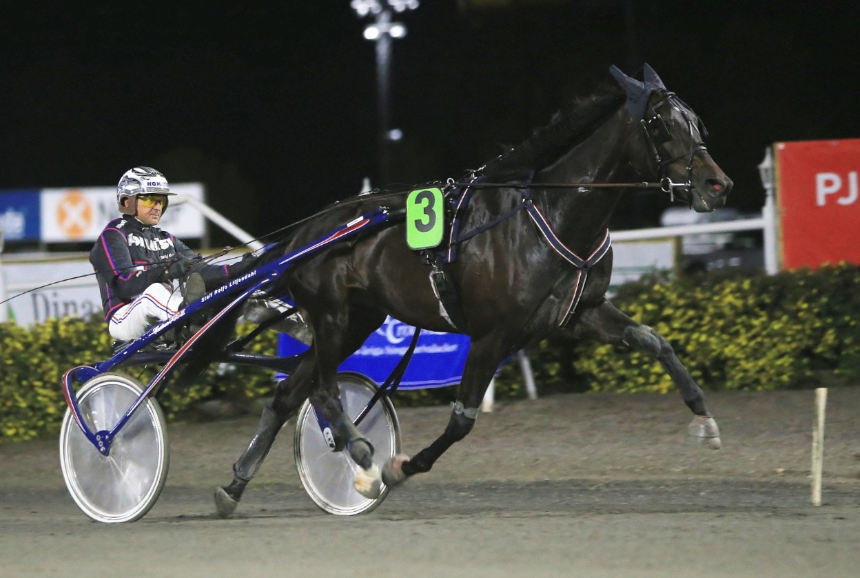 Talangfyllde Admiral As stegar enkelt undan till segern i Breeders Crown på Solänget. Foto: Berth Brandell, Girlpower/ALN