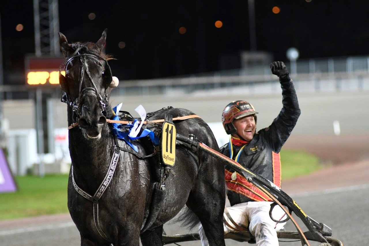 Milliondollarrhyme möter ett riktigt getingbo i årsdebuten. Foto: Göran Lindskog, Sidmakarn/ALN