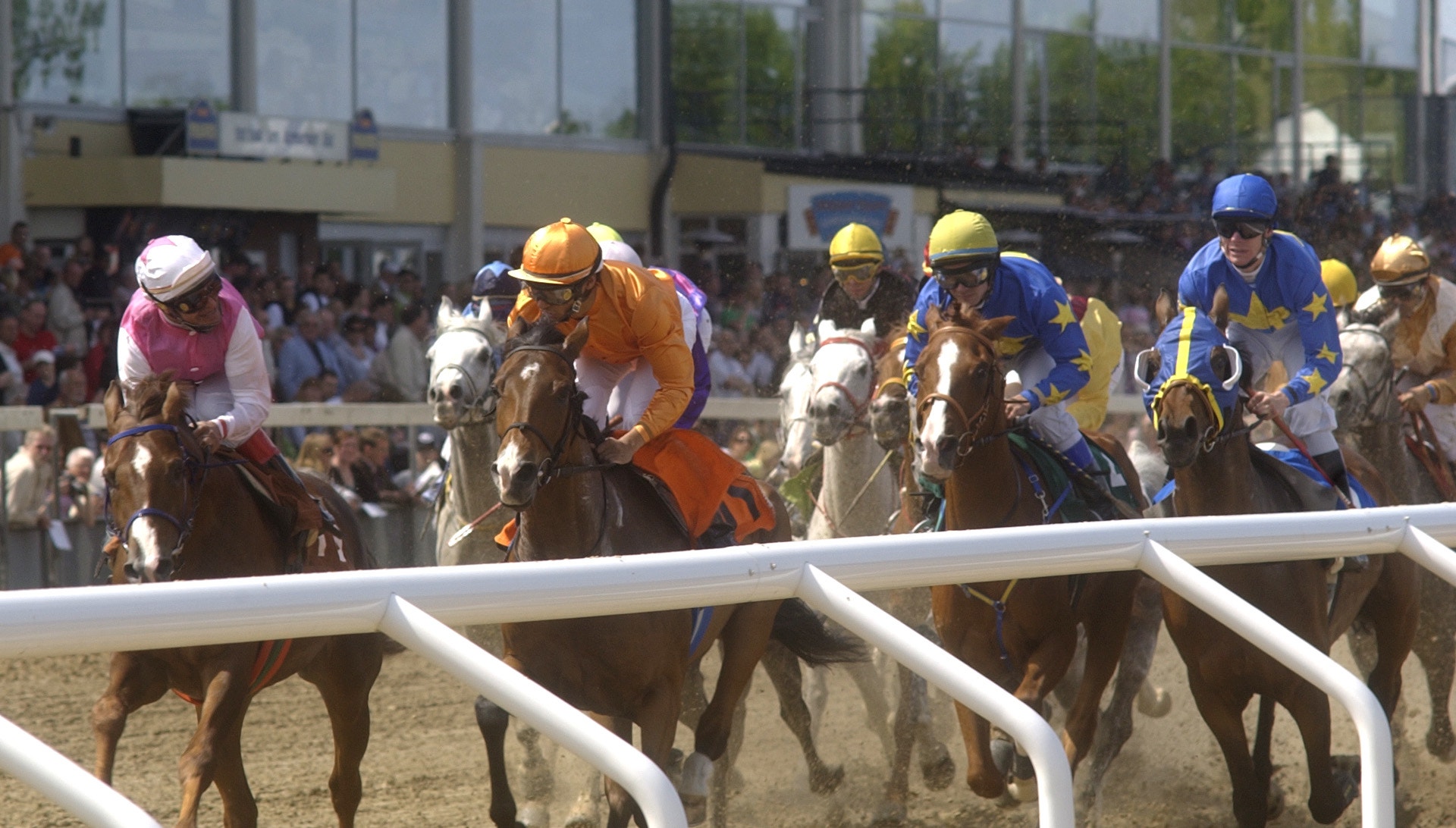 Hästlopp på sandbana med flera jockeys i färgade tröjor som rider tätt tillsammans. Publik syns i bakgrunden och vita räcken avgränsar banan.